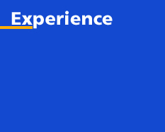 Experience